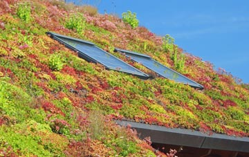Fairford living roof systems